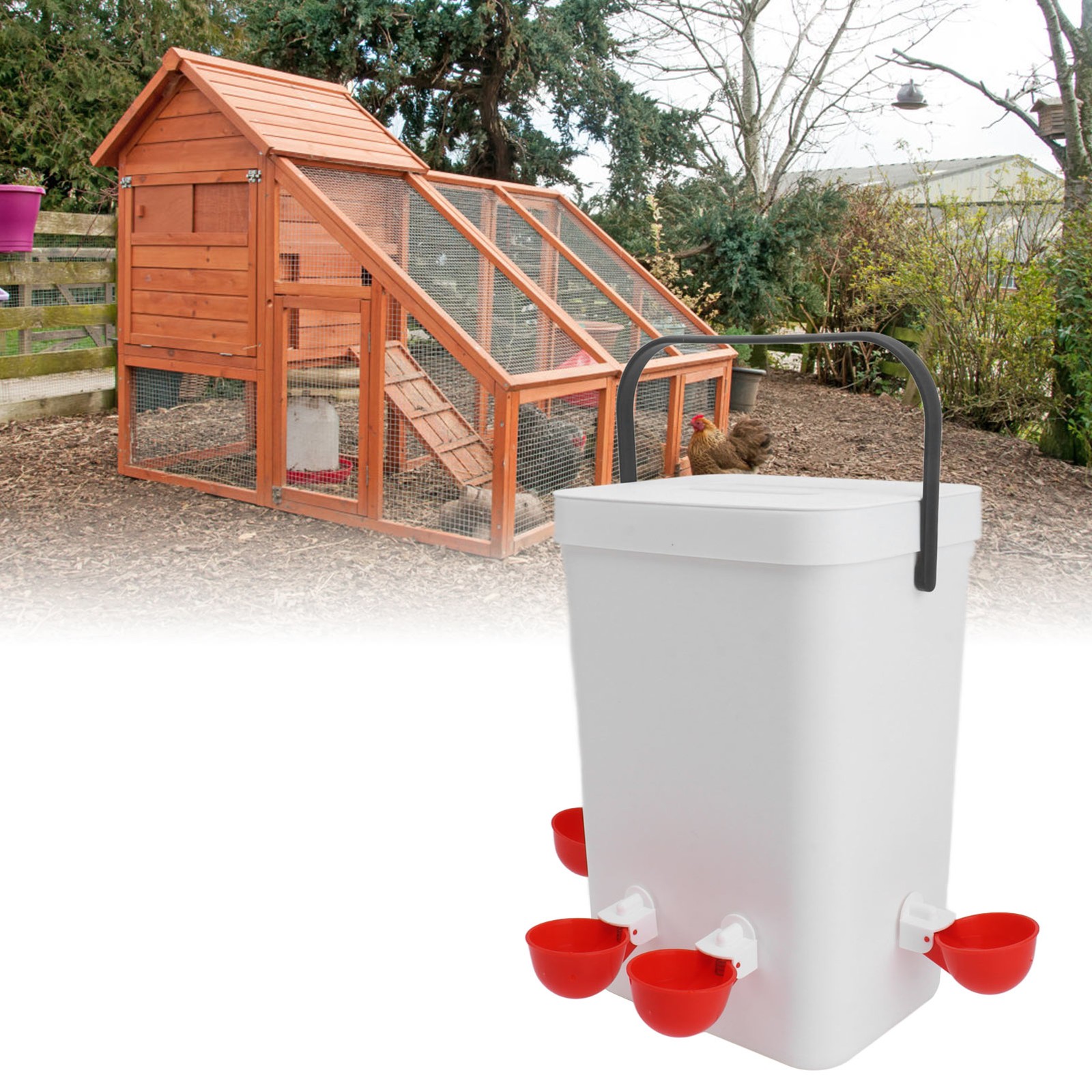 Large Capacity Automatic Chicken Waterer And Feeder Set 12 Liter Portable