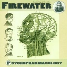 Psychopharmacology von Firewater | CD | Zustand sehr gut