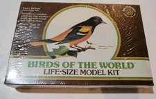 Vintage Bachmann Baltimore Oriole Birds Of The World Snap Fit Model Life-Size