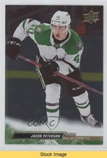 2022-23 Upper Deck Series 2 Silver Foil Jacob Peterson #313 READ 5ot