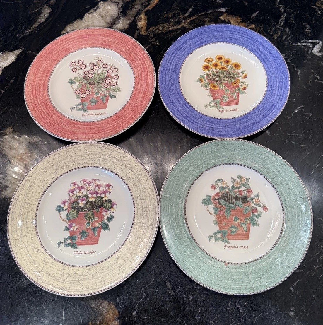 Sarah S Garden for sale | eBay