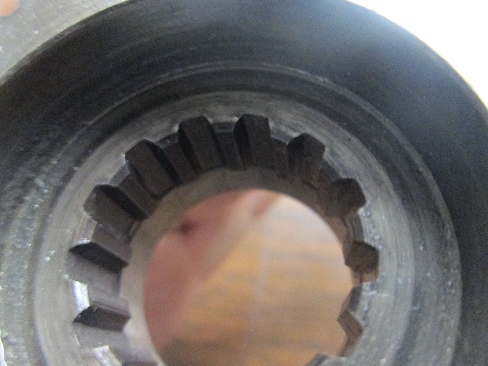 Picture 6 of 6