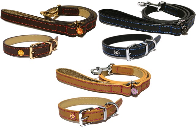 puppy collars for sale