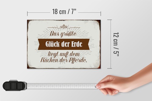Holzschild Spruch 18x12 cm Glück der Erde auf Rücken Pferde Deko Schild - Bild 5 von 5