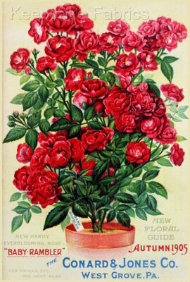 Fabric Block Vintage Roses Seed Catalog Multi Sz FrEE Shipping (1129B