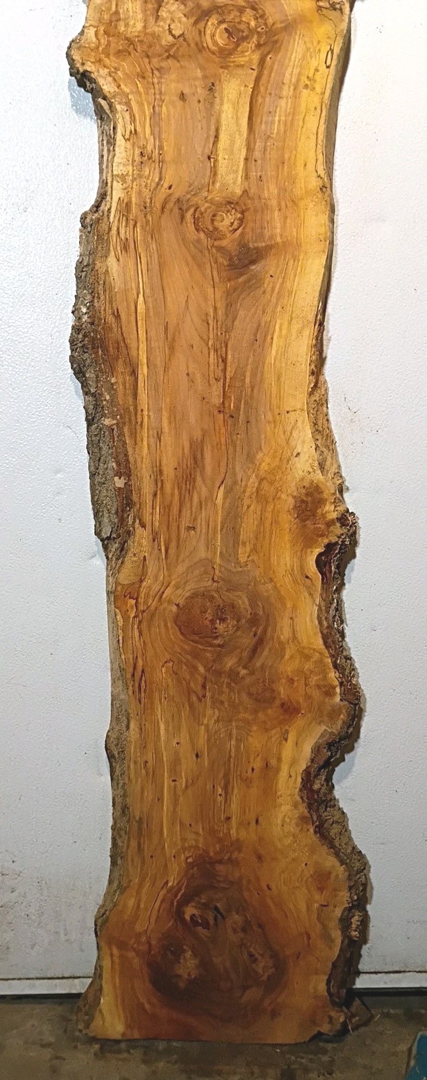 G801 Spalted Maple Burl Live Edge Slab Epoxy Project 66x15x1 1/2