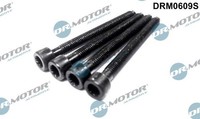 Schraube EinspritzdüSenhalter Drmotor Automotive DRM0609S FüR Audi Seat VW