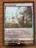 Breeding Pool FOIL - Zendikar Expeditions - NM - Magic The Gathering MTG