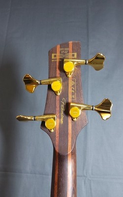 SDGR Soundgear by Ibanez Premium Bass Guitar In fur lined Hard