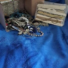 Vintage to Modern Costume Jewelry Junk Drawer Lot Craft Wear Repair 2+ Ibs