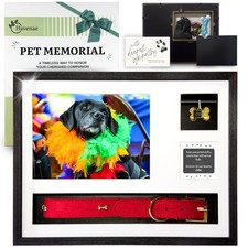 Pet Memorial Gifts for Dogs - Dog Loss Shadow Box  Sympathy Frame, Bereavement