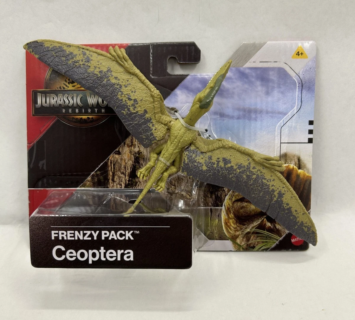 Ceoptera