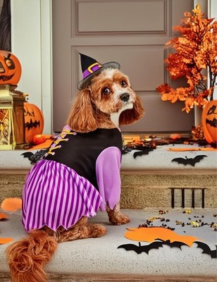 Rubies Witch Costume for Cats or Dogs Halloween Fall Parties