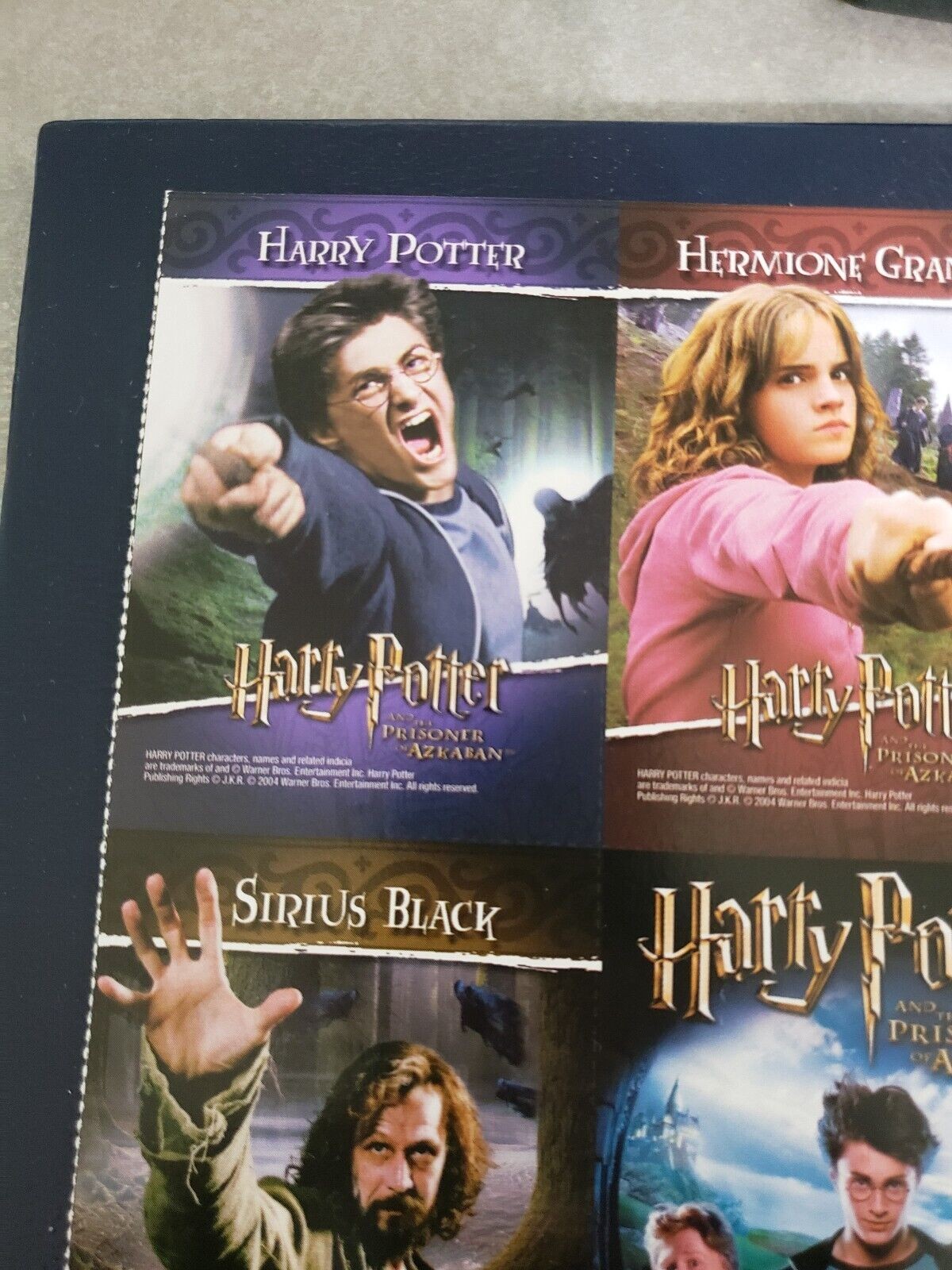 Harry Potter Hermione Granger Sirius Black Ron Weasley Rubeus Hagrid Dumbledore.