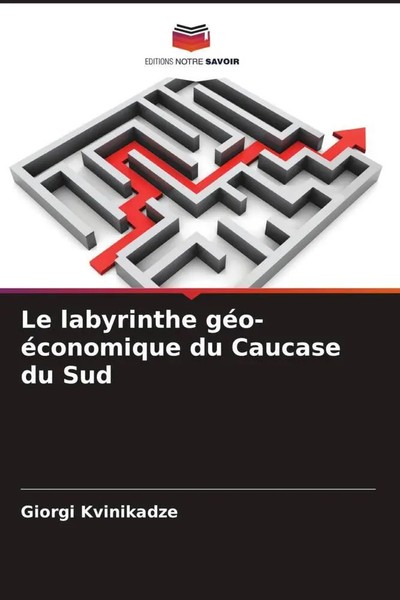 Le Labyrinthe GéO-éConomique Du Caucase Du Sud Giorgi Kvinikadze Taschenbuch-image