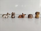 Foto 11 di 12
