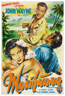 映画「グループ」 1966年USオリジナルインサートサイズポスター 映画