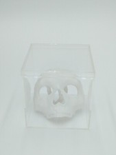 Call of Duty Ghost Mask Skull Miniature Collectible W/Display case 3" 3d printed