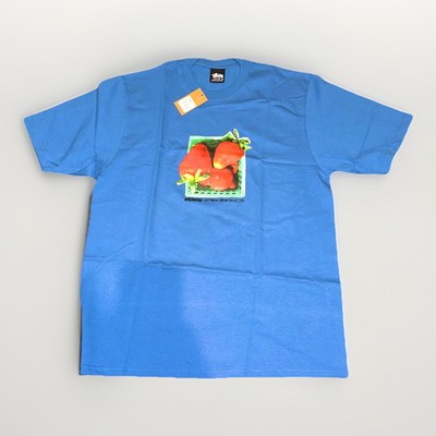 stussy 25ss Berries tee M blue ブルー Stussy “Berries” Tee - Medium -Blue - New With Tags - Unreleased