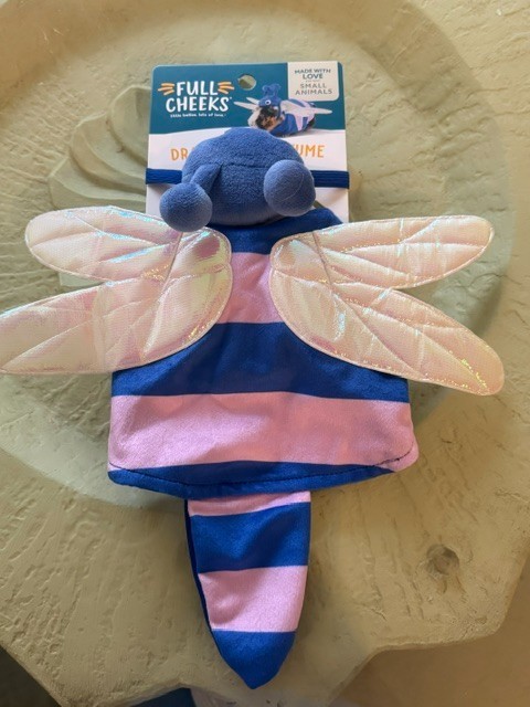 RARE Full Cheeks Small Animal Costume - DRAGONFLY