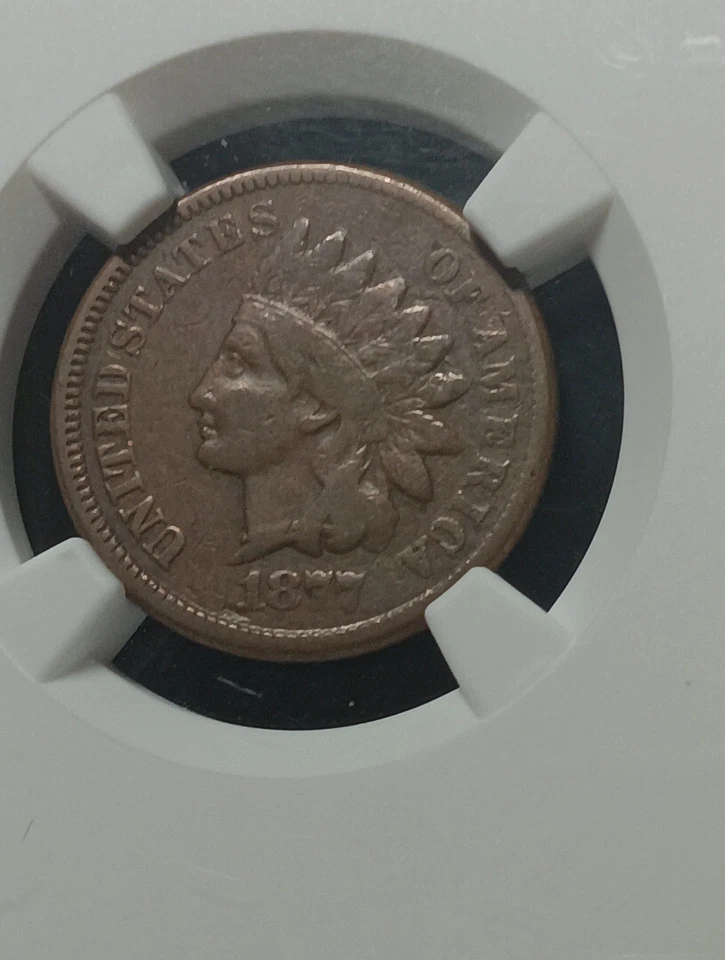 👉1877  1c  NGC  INDIAN Penny  *  KEY DATE  * NGC F12 - Image 2 of 3