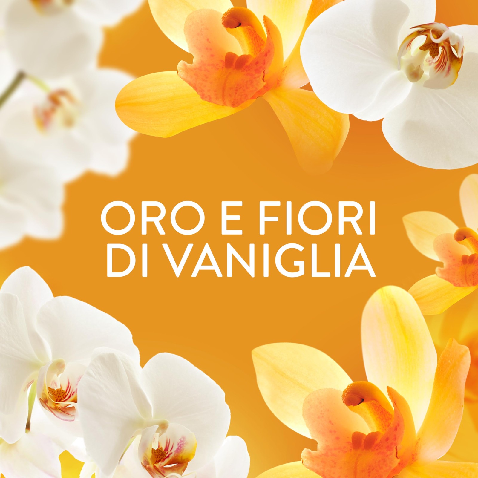 Stock Lenor Ammorbidente 8x27 Lavaggi Oro e Fiori - Risparmio Garantito - 4