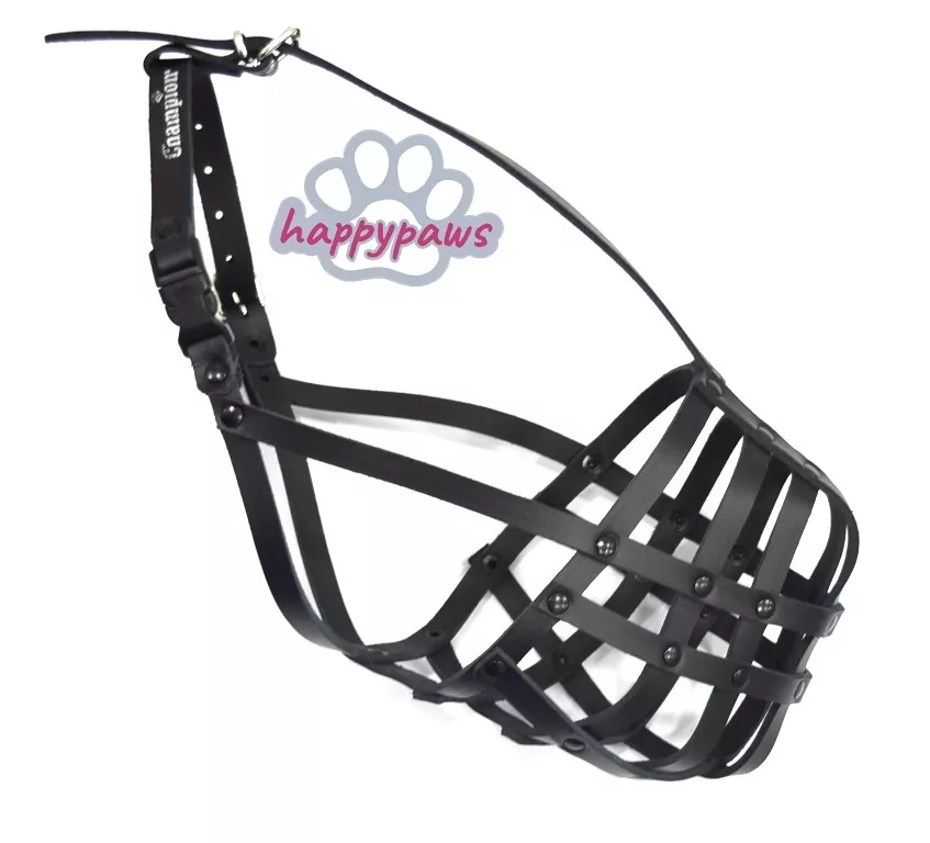 Muzzle for dogue de cheap bordeaux