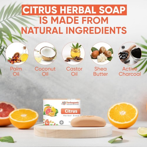 Citrus Herbal Soap 5oz Refreshing Natural Bar Pack of 1, 3 or 6 Unisex - Picture 10 of 34