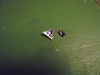VINTAGE AYH PIN AMERICAN YOUTH HOSTELS EXCELLENT 1930'S, 2 LGS SORORITY PINS '11 — photo 8