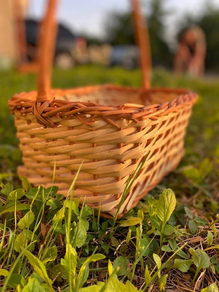 Wicker basket of willow Home decoration Basket for fruits Handmade - Image 3 of 4
