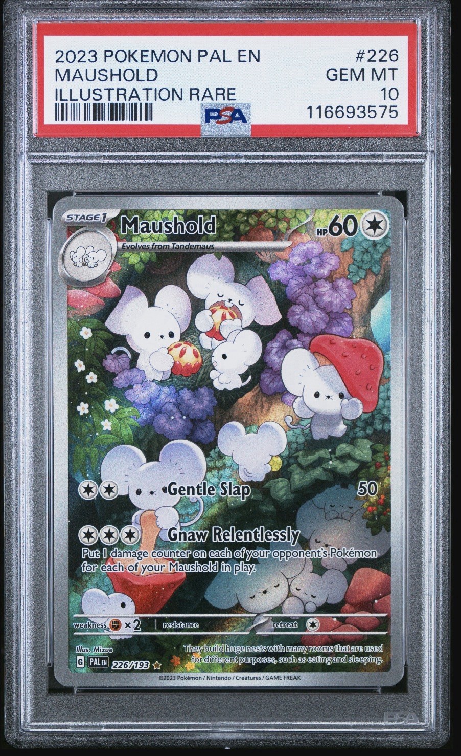 Pokémon TCG Maushold Paldea Evolved Illustration Rare Holo 226/193 PSA 10 2023