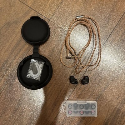 Final Audio A6000 Hochpräzise In-Ear-Kopfhörer mit Aufbewahrungskoffer Japan
