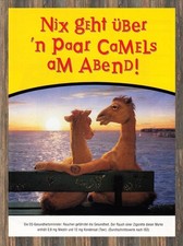 Camel Zigaretten - Reklame Werbeanzeige Original-Werbung 1998