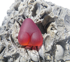 Sea Glass, Interesting Shaped Red Hobnail