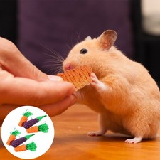  6 PCS Animals Bite Gnawing Treat Bunny Enrichment Toys Carrot Snuffle