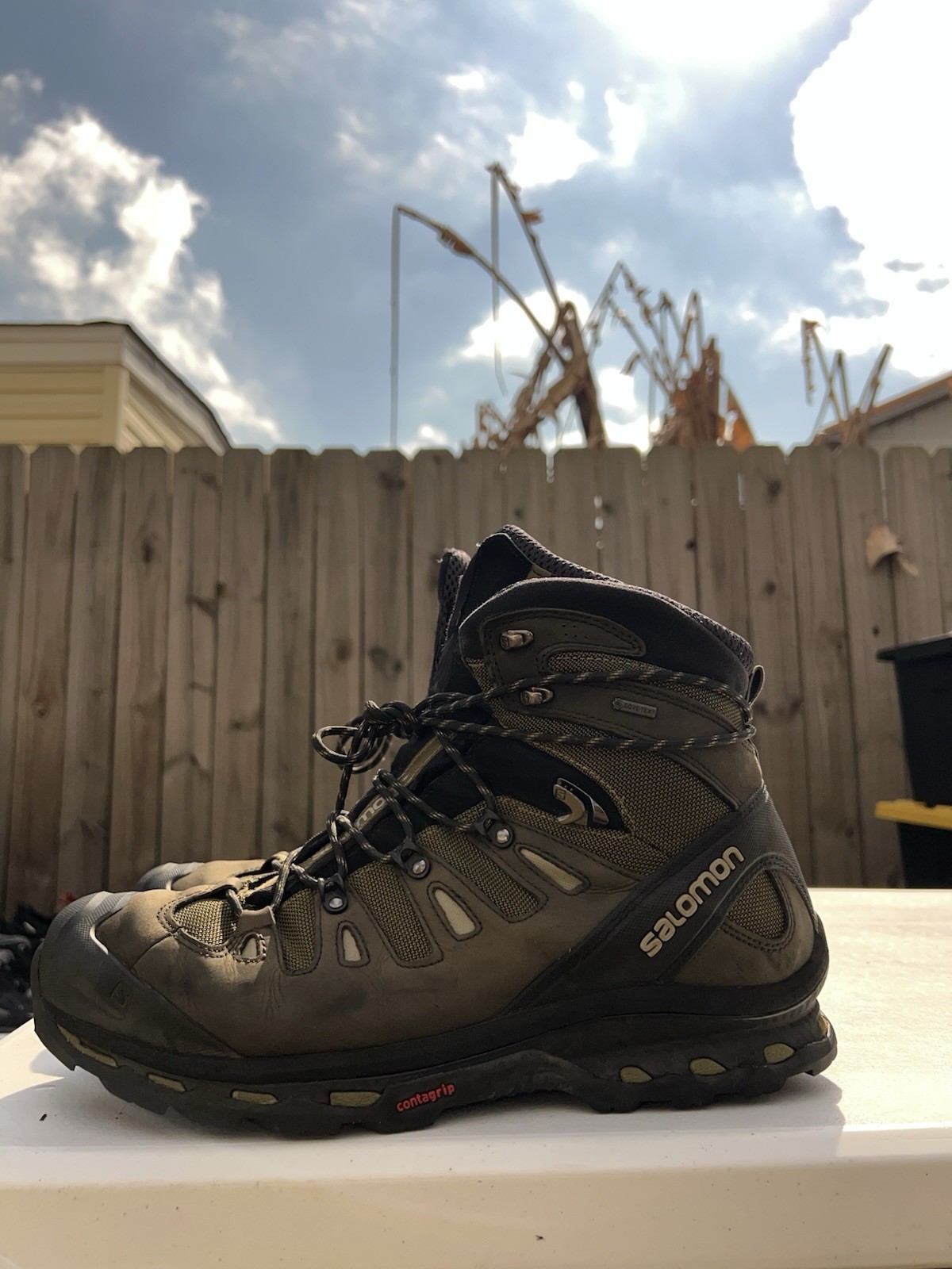 &rsquo;s Salomon Salomon Quest 4d Ii Gtx Hiking Boots - Men's Si