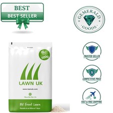 500g NV Ornamental Grass Seed - Effortless Beauty for Stripe Enthusiasts