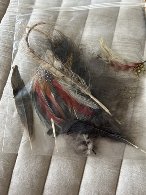 All Natural Feather Assortment Primarily Pheasant Feathers For Crafting