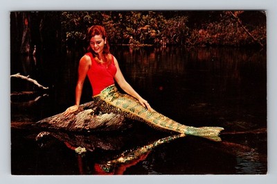 Weeki Wachee, FL-Florida, Mermaid at Waters Edge Underwater Vintage Postcard