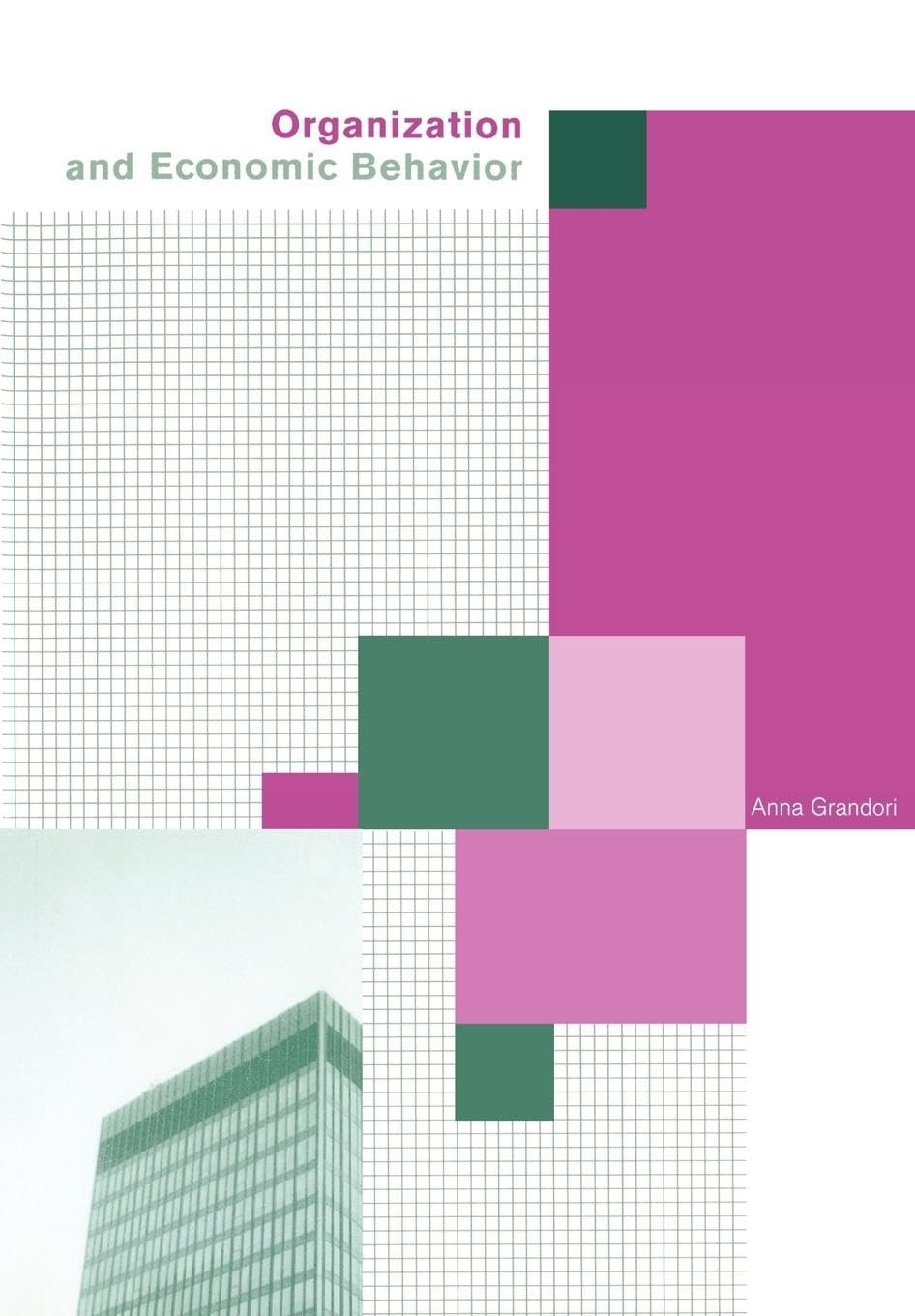Organization and Economic Behaviour By Grandori, Anna Anna Grandori,