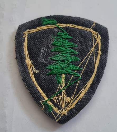 PATCH TOPPA PINEROLO BRIGATA DI FANTERIA ESERCITO ITALIANO IN CANOTTIGLIA - Foto 2 di 2