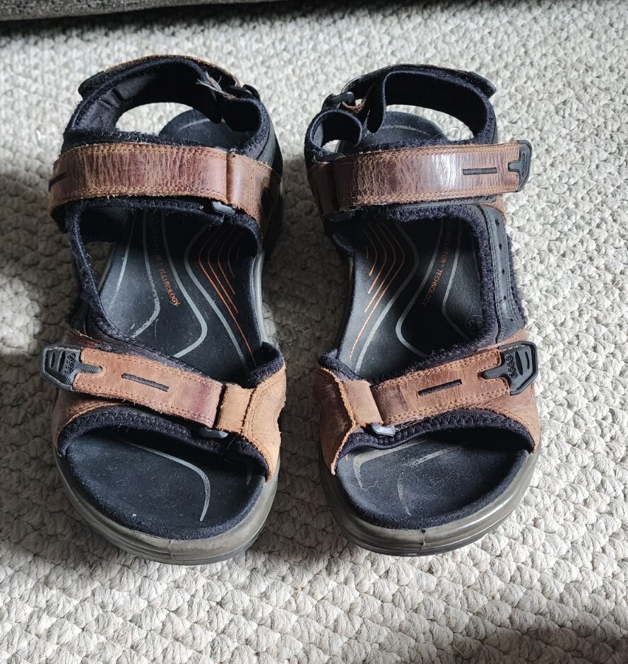 ECCO Yucatan Receptor Sandal Hiking Brown/Black Men display picture 1