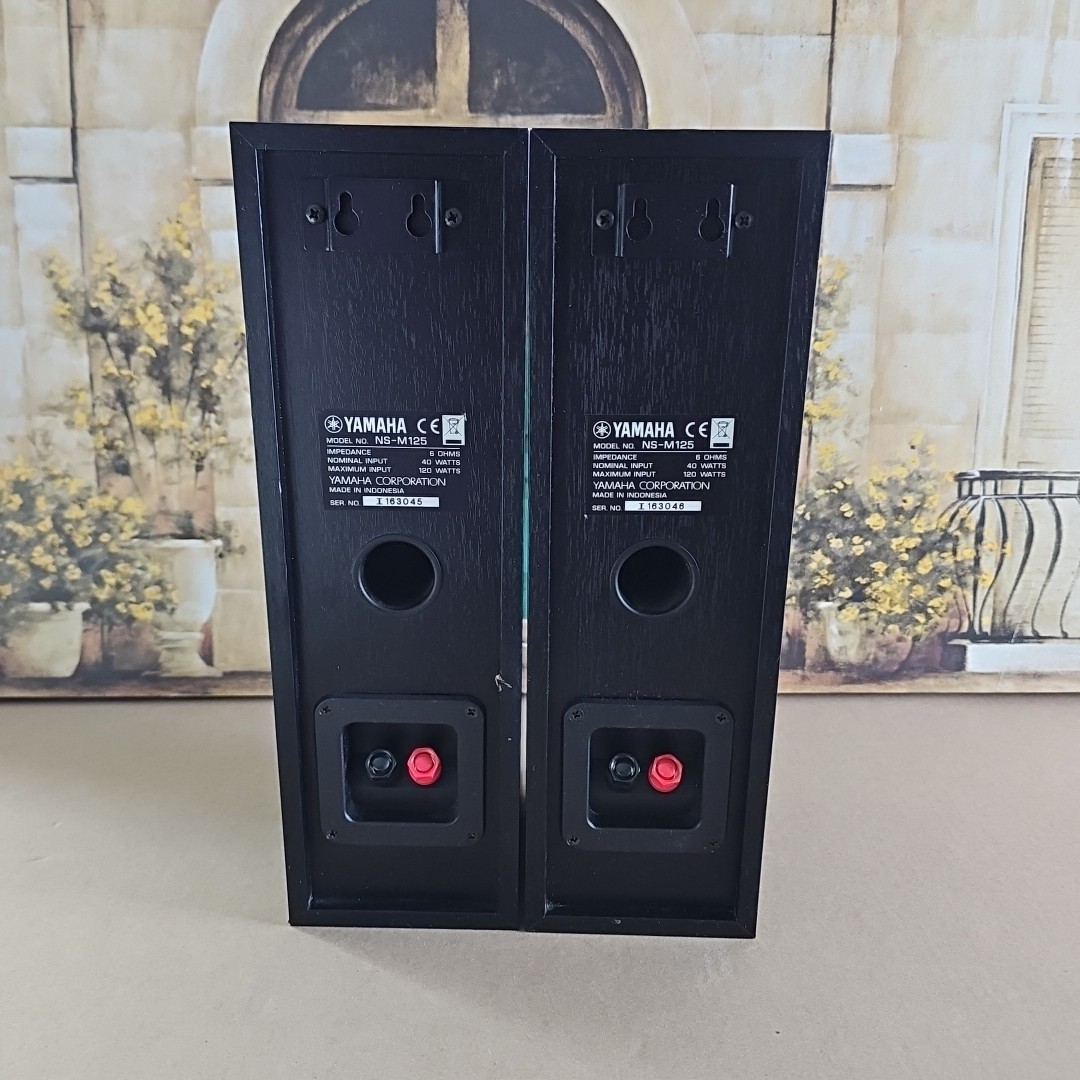 YAMAHA NS-M125 Bookshelf Speakers Pair Black | eBay