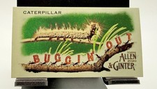 2020 Topps Allen & Ginter's Buggin' Out! Mini Caterpillar #MBO-18