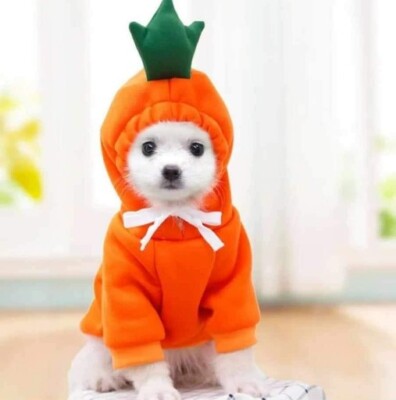 Carrot Jumpsuit Dog Cat Clothes Polyester Bulld Puppy Outfit M -L