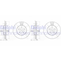 2X Delphi Bremsscheiben 300Mm BelÜFtet Vorne Passend FÜR Ford Mondeo Jaguar