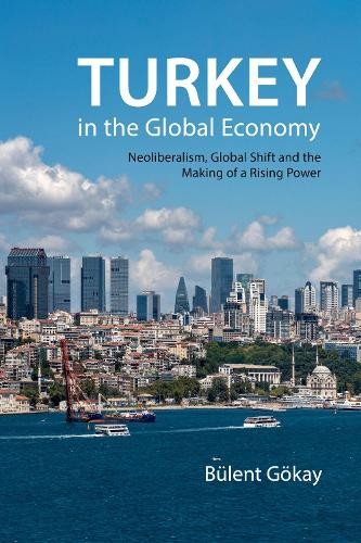Turkey in the Global Economy by Blent Gkay - 9781788210843