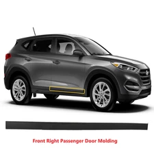 OEM Front Door Lower Molding Garnish 2016-21 Hyundai Tucson Right Passenger Side