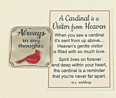 Ganz Cardinal Is Visitor From Heaven Charm/Token ''Always in My Thoughts'' +Card-B