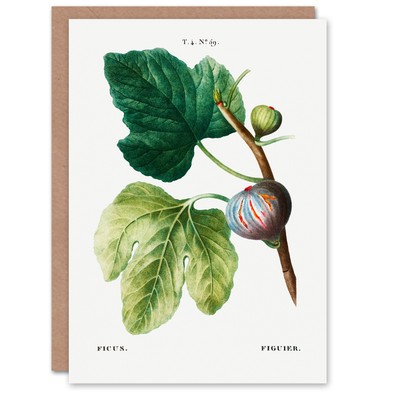 Pierre-Joseph Redouté Art Card Vintage Botanical Ficus Carica Fig